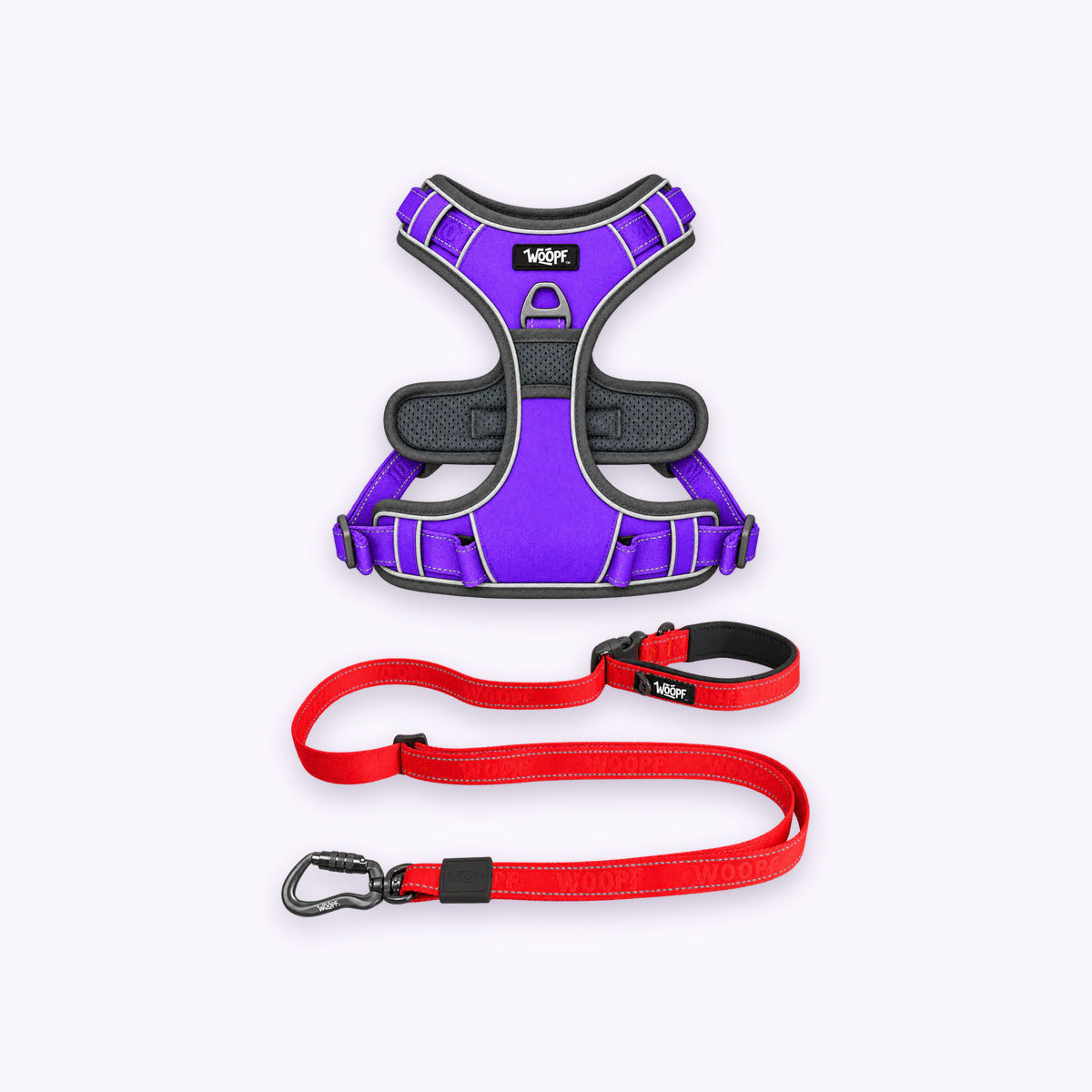 Purple | Training Bundle: The Purple Explorer Harness with the Red Explorer Adjustable Leash on a pale lavender background
