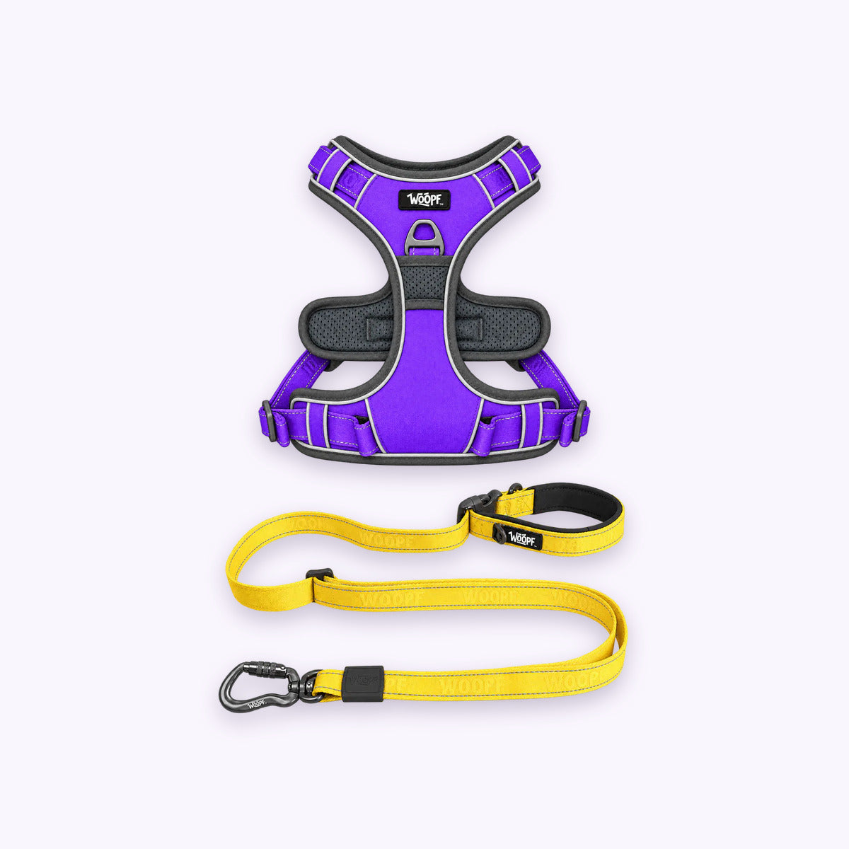 Purple | Training Bundle: The Purple Explorer Harness with the Yellow Explorer Adjustable Leash on a pale lavender background