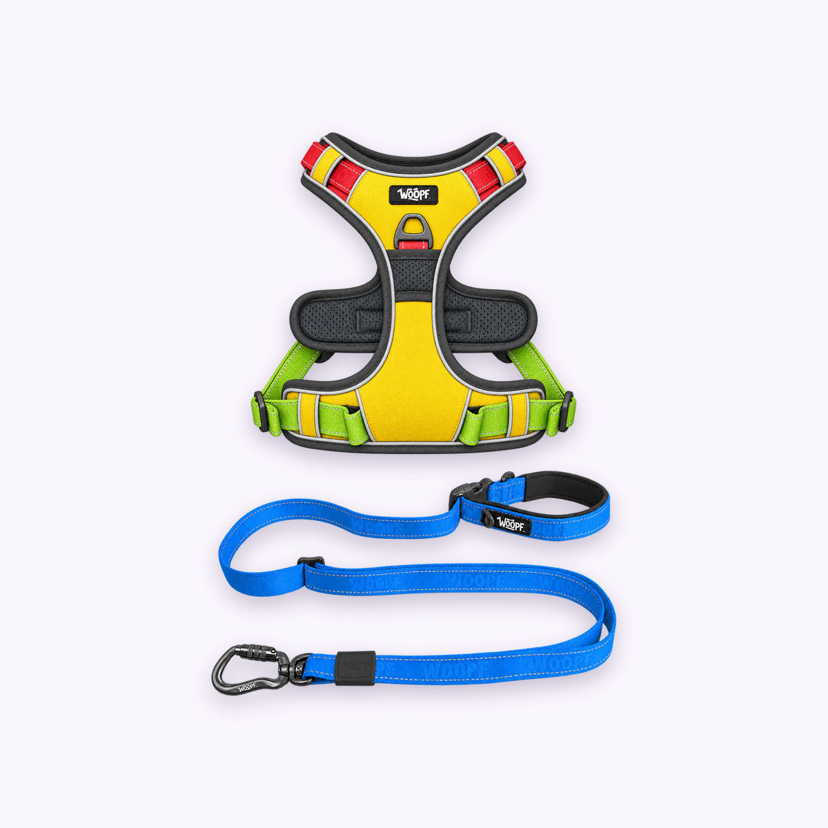 Rainbow | Training Bundle: The Rainbow Explorer Harness with the Blue Explorer Adjustable Leash on a pale lavender background