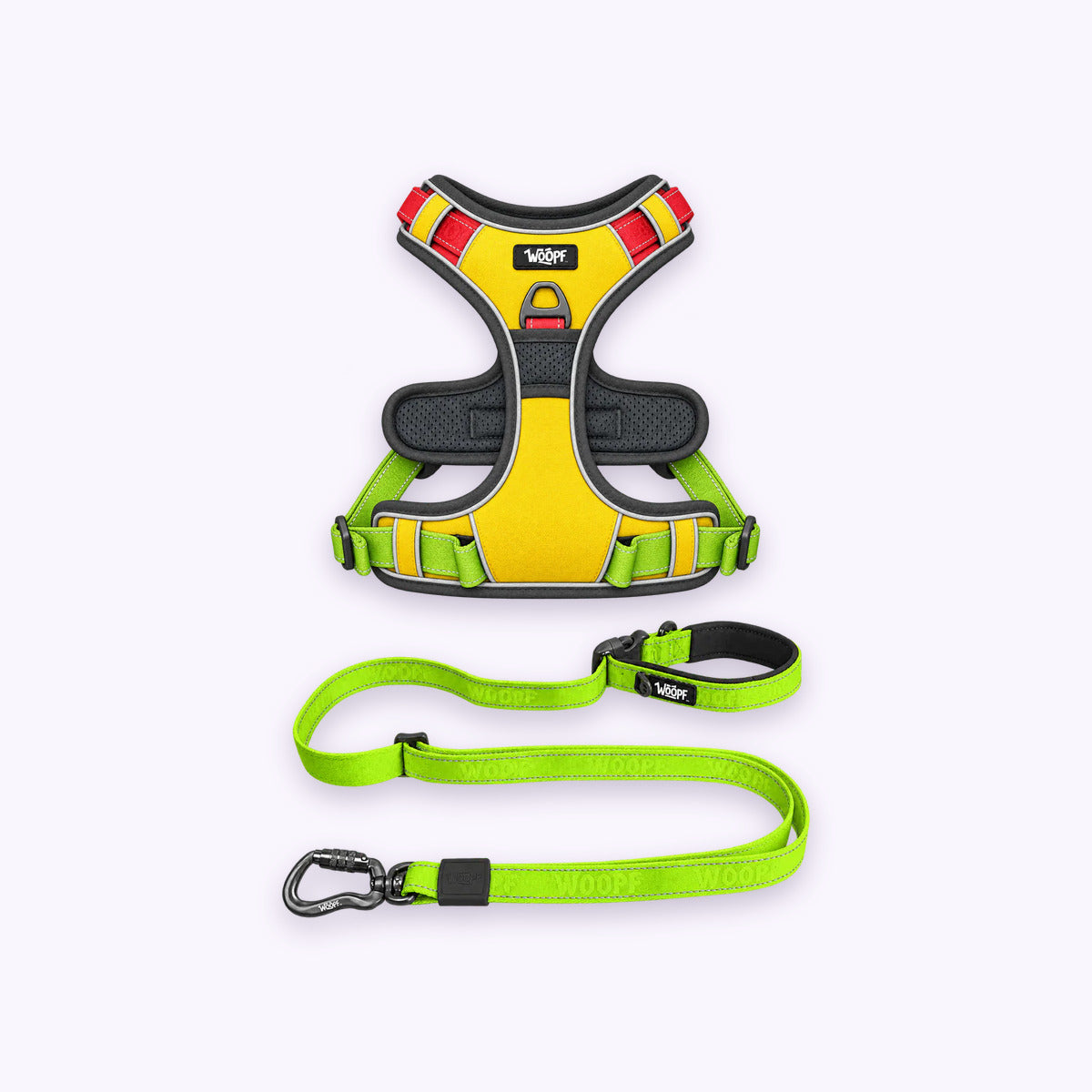 Rainbow | Training Bundle: The Rainbow Explorer Harness with the Green Explorer Adjustable Leash on a pale lavender background