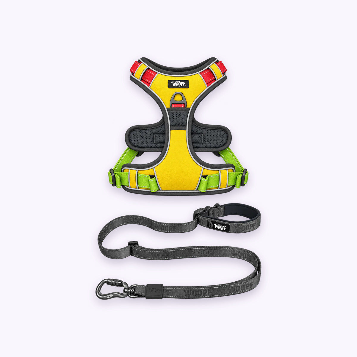 Rainbow | Training Bundle: The Rainbow Explorer Harness with the Grey Explorer Adjustable Leash on a pale lavender background