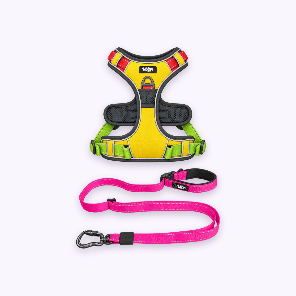 Rainbow | Training Bundle: The Rainbow Explorer Harness with the Pink Explorer Adjustable Leash on a pale lavender background