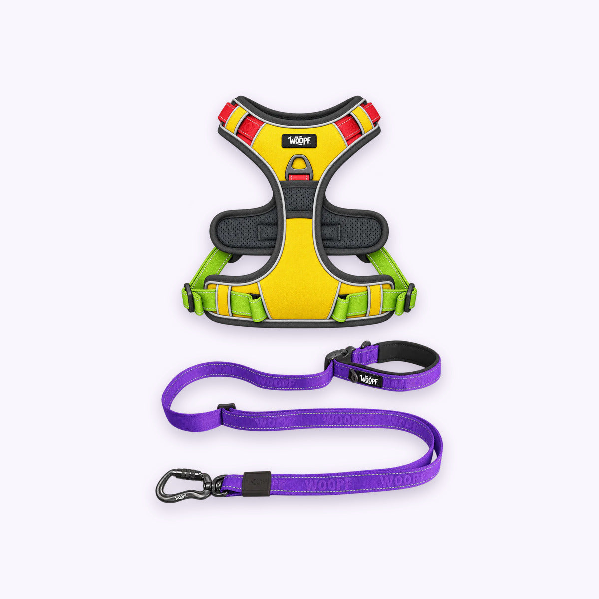 Rainbow | Training Bundle: The Rainbow Explorer Harness with the Purple Explorer Adjustable Leash on a pale lavender background