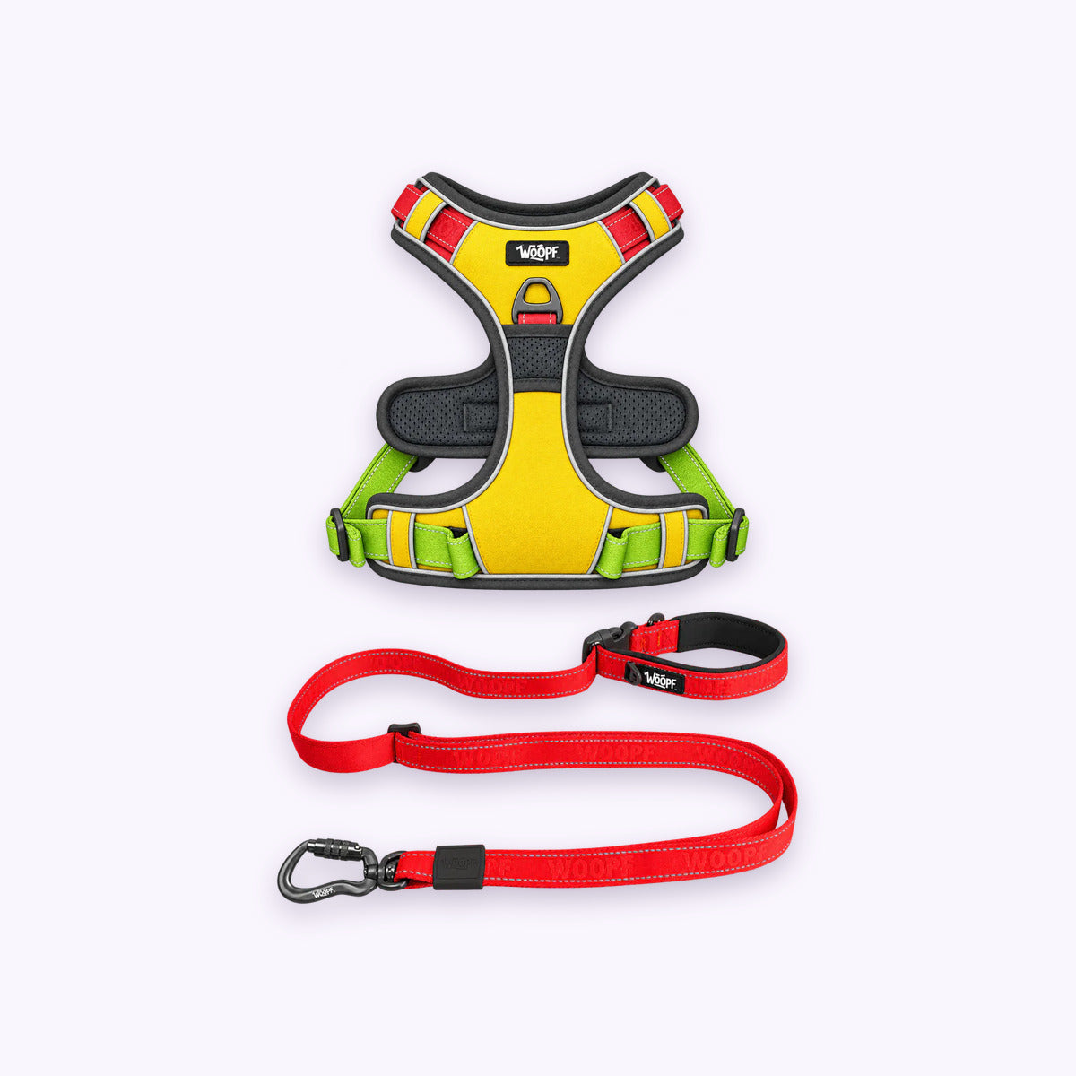 Rainbow | Training Bundle: The Rainbow Explorer Harness with the Red Explorer Adjustable Leash on a pale lavender background