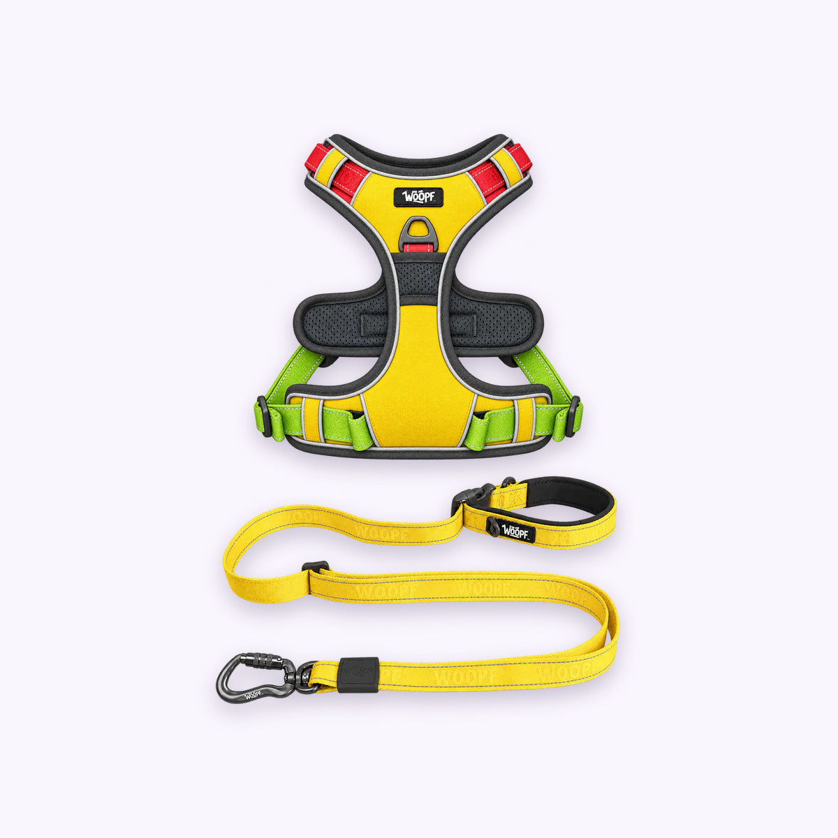 Rainbow | Training Bundle: The Rainbow Explorer Harness with the Yellow Explorer Adjustable Leash on a pale lavender background