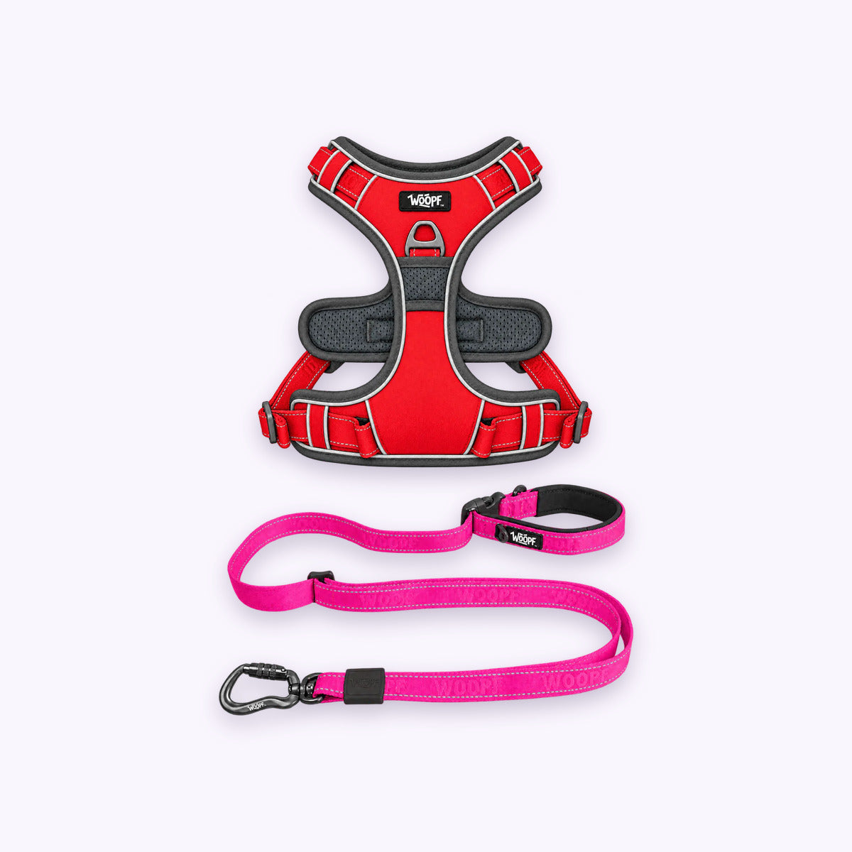 Red | Training Bundle: The Red Explorer Harness with the Pink Explorer Adjustable Leash on a pale lavender background