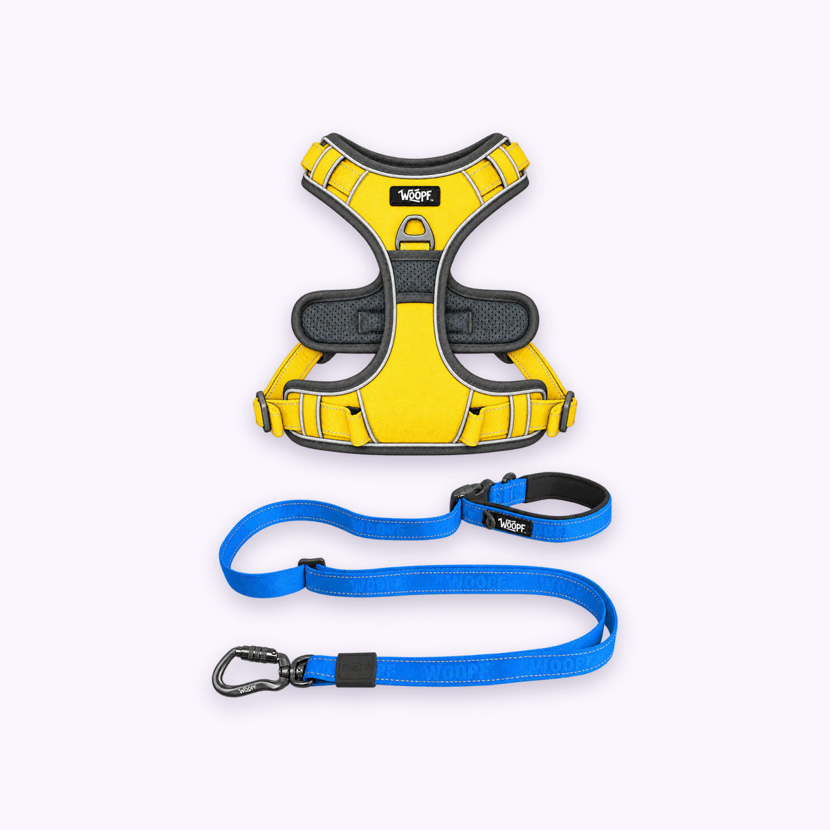 Yellow | Training Bundle: The Yellow Explorer Harness with the Blue Explorer Adjustable Leash on a pale lavender background
