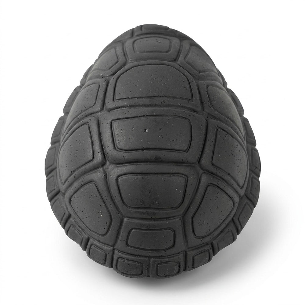Chewster Turtleshell, Black