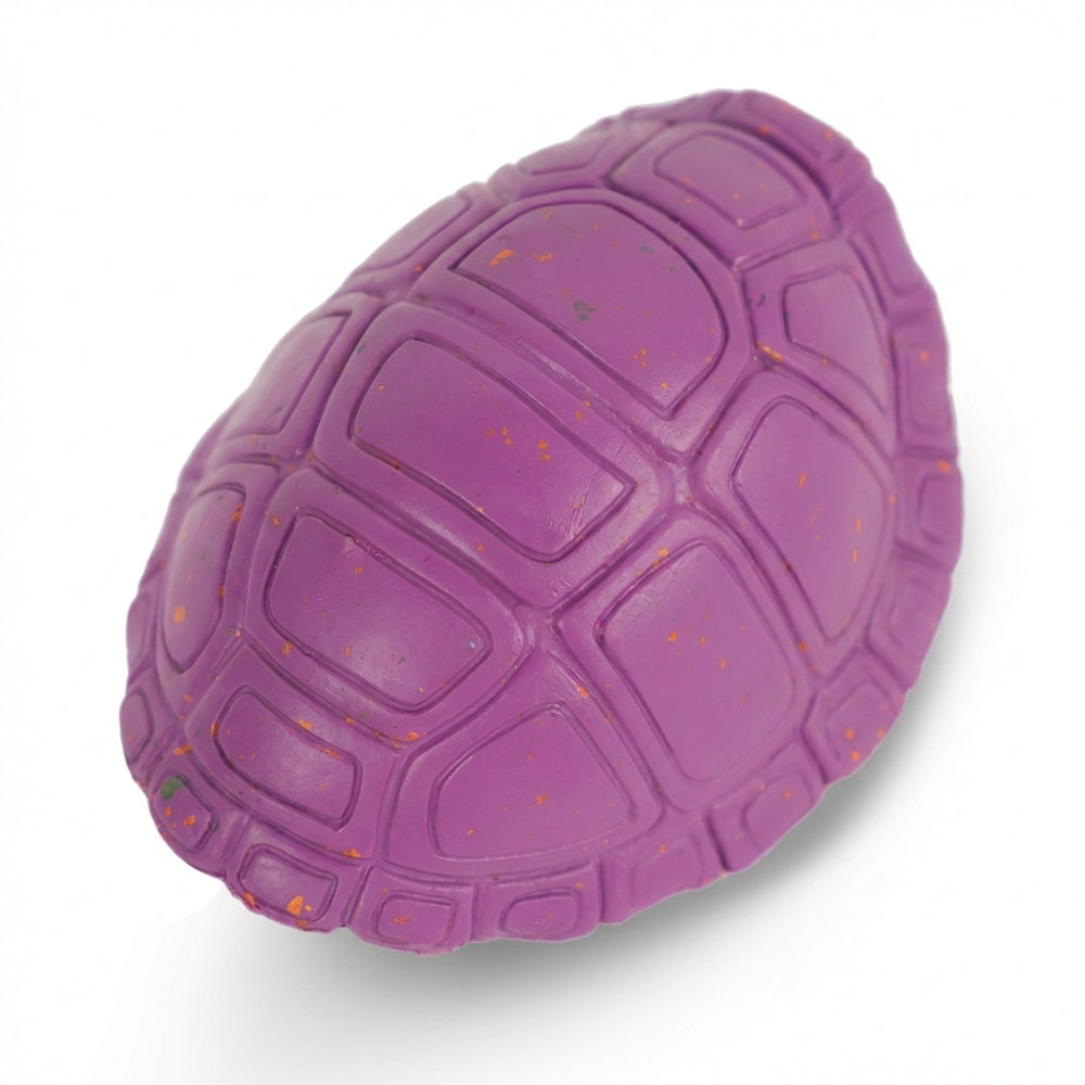 Chewster Turtleshell, Purple