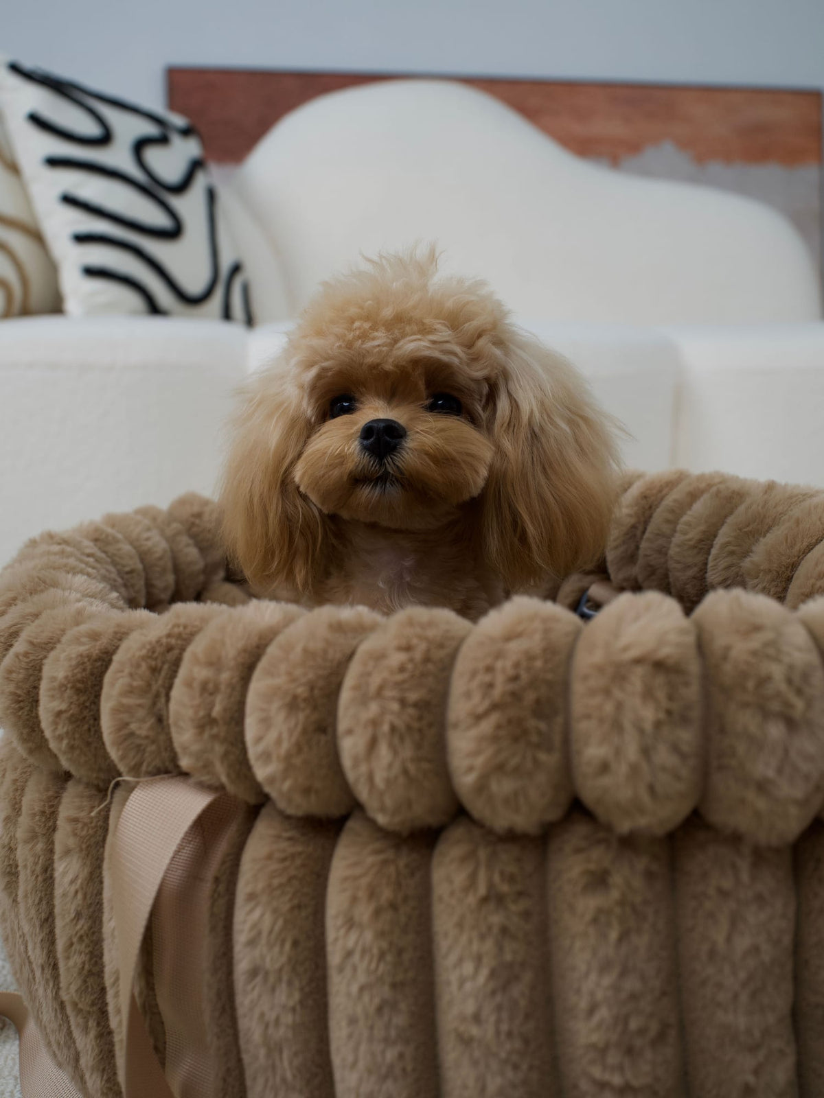 A small poodle sitting in a plush round WOOPF bed