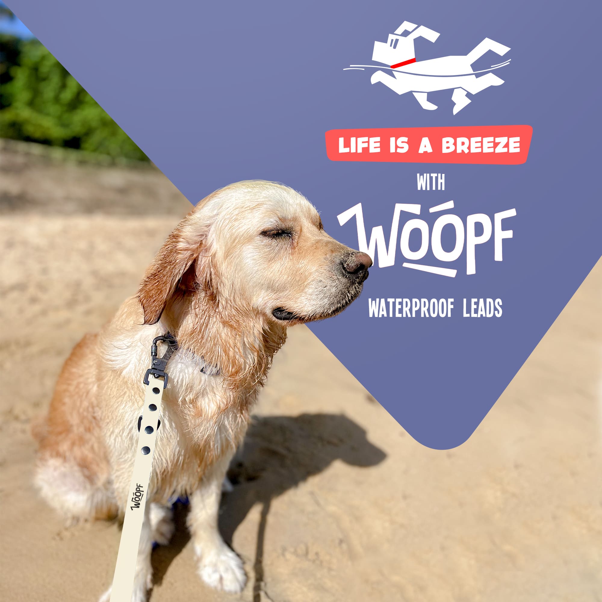 WOOPF Waterproof, All Weather, Strong and Easy to Clean Dog Lead | Small, Medium, and Large Dogs (Glow in the Dark)