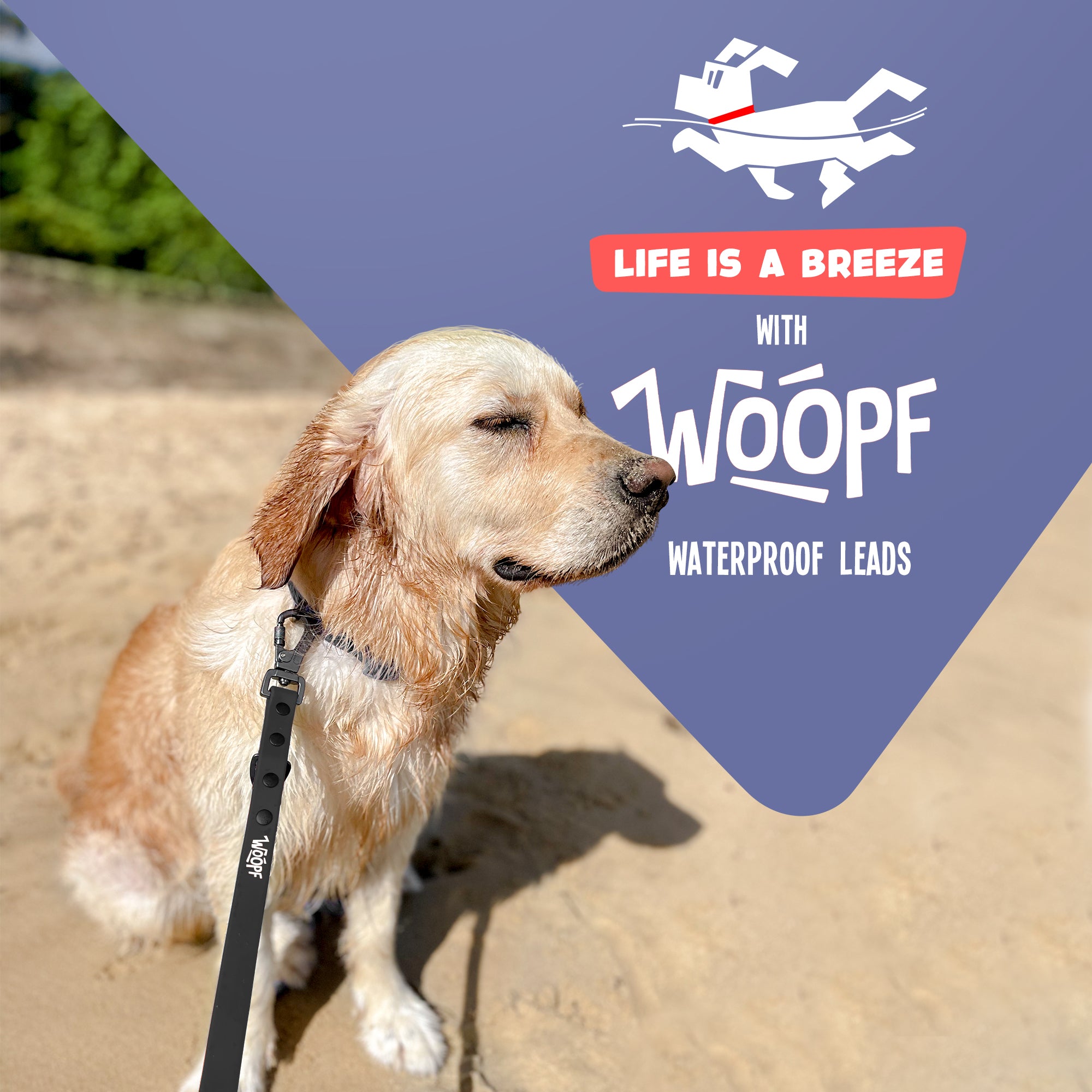 WOOPF Waterproof, All Weather, Strong and Easy to Clean Dog Lead | Small, Medium, and Large Dogs (Grey)