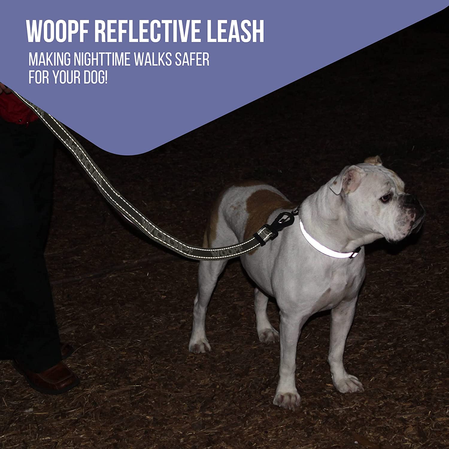 WOOPF Adjustable All Adventure, High Strength, Nylon Reflective Dog Leash
