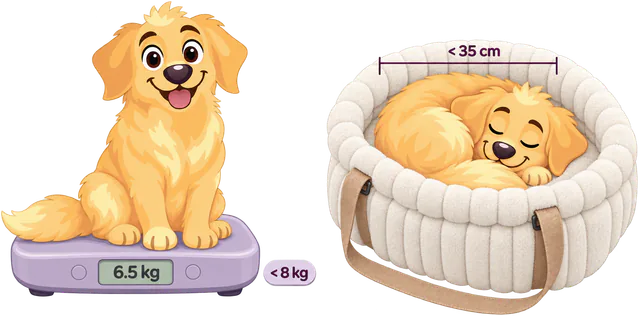 Illustrated golden retriever puppy sitting on a scale, and the same puppy curled up asleep inside a white WOOPF™ Corduroy Calming Dog Carrier