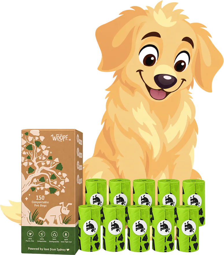 A golden retriever sits behind a cardboard box of 150 compostable poo bags and ten green rolls.