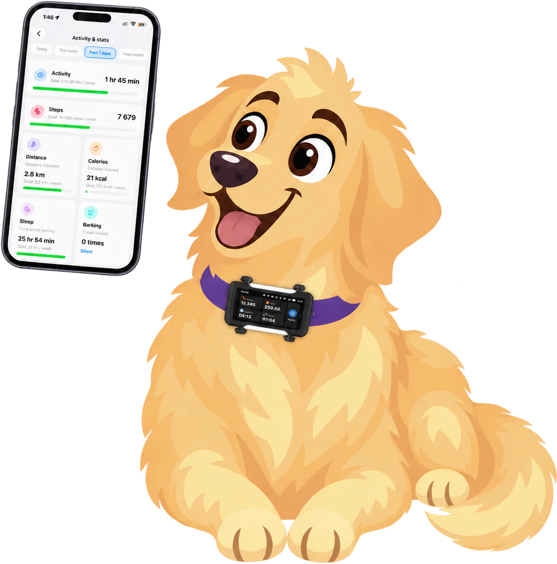 Illustrated golden retriever in a black tracker on a purple collar, beside a phone showing the app's activity and stats for the past seven days