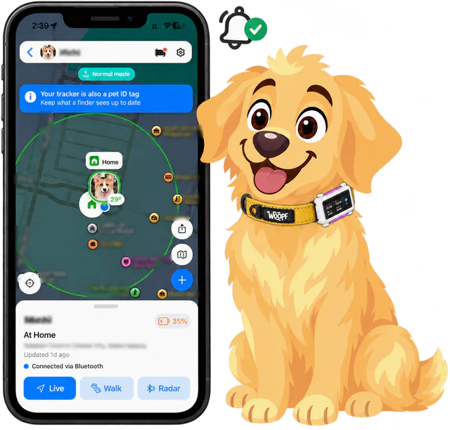Illustrated phone map with a safe zone drawn around home, beside a golden retriever in a white tracker lit purple on a yellow WOOPF™ collar, a bell alert above