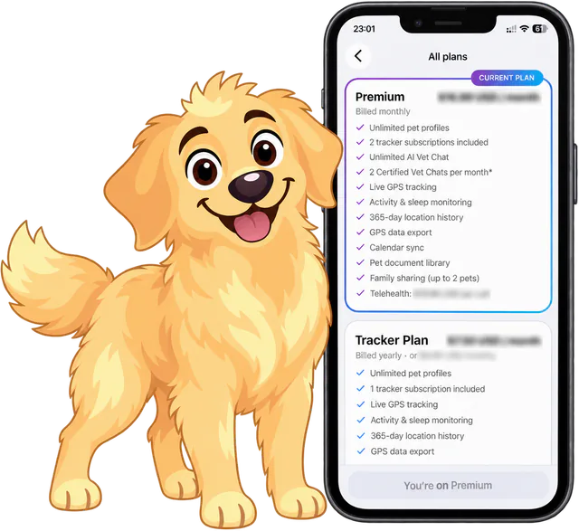 Illustrated golden retriever standing beside a phone open on the Ask A Vet app's plans screen