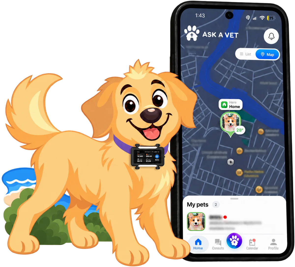 Illustrated golden retriever in a black tracker on a purple collar, beside a phone showing the pet's location on the Ask A Vet app's live map