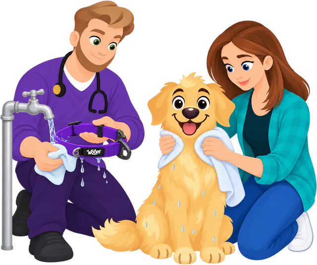 Illustrated man rinsing a purple WOOPF™ Sealskin Collar under an outdoor tap, a towel in his hand, as a woman towels a wet golden retriever