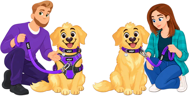 Illustrated man clipping a purple WOOPF™ Sealskin Leash to the harness of a sitting golden retriever, and a woman clipping another to the D-ring of a second golden retriever's purple collar