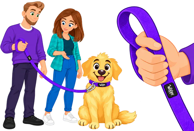 Illustrated man holding a purple WOOPF™ Sealskin Leash by its loop handle, clipped to a sitting golden retriever's purple collar as a woman looks on, and a close-up of a hand through the loop, thumb over the webbing