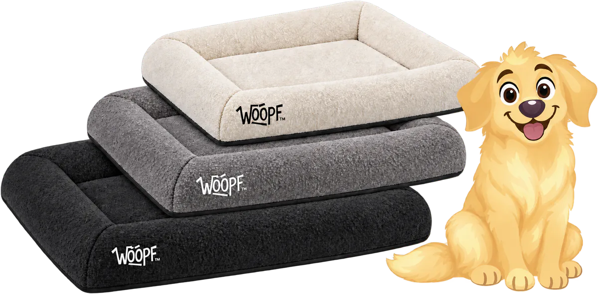 Illustrated SNÜZ Vet Orthopedic Beds in cream, grey and black stacked beside a sitting golden retriever