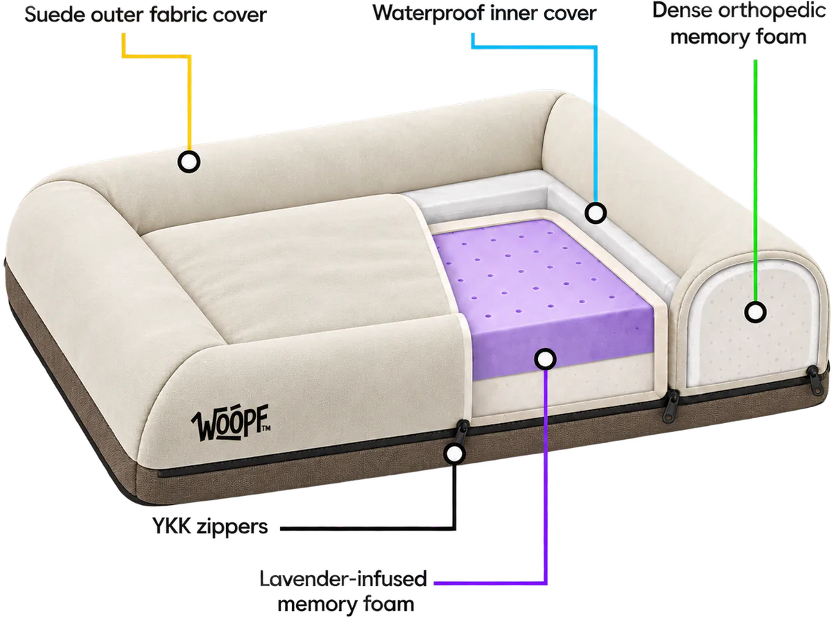 Illustrated cutaway of a cream SNÜZ Orthopedic Suede Bed: the suede outer cover, the waterproof inner cover, lavender memory foam in the base, memory foam in the bolsters and YKK zippers