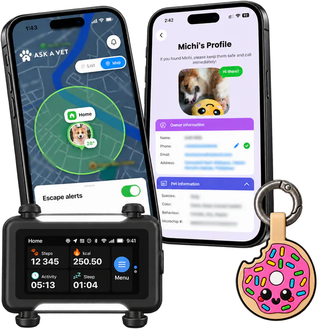 Illustrated phone map with a safe zone around home and escape alerts on, a second phone open on Michi's public profile, a black tracker and the Donut tag