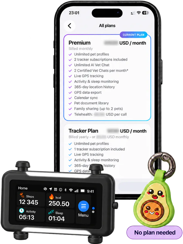 Illustrated phone open on the Ask A Vet plans screen, a black tracker in front and the Avocado tag marked No plan needed