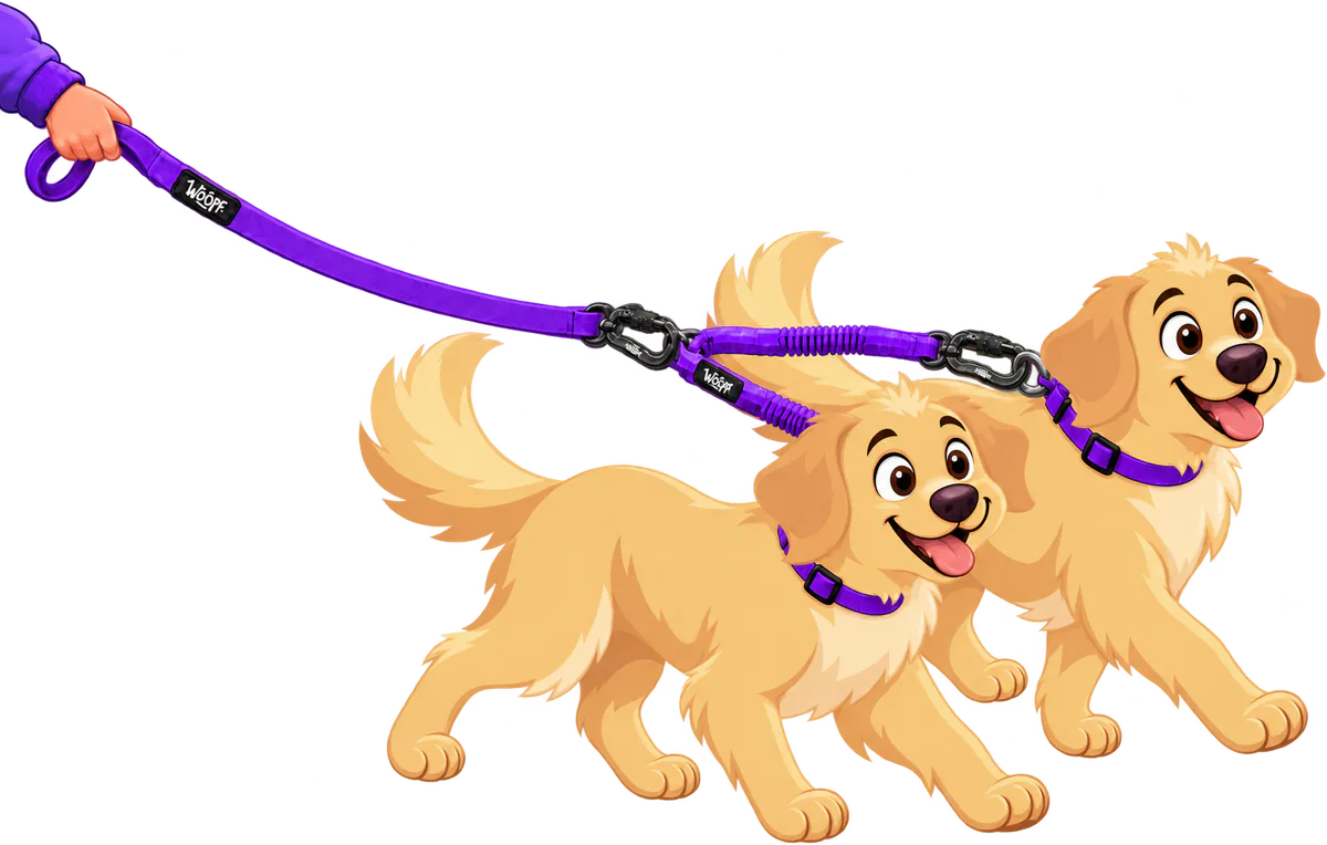 Illustrated two golden retrievers trotting side by side on the purple Two Dog Walker, a bungee section on each arm, the lead in a walker's hand