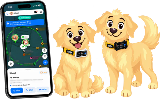 Illustrated phone map with one safe zone drawn around home and two pet pins, beside two golden retrievers in a white and a black tracker on yellow WOOPF™ collars