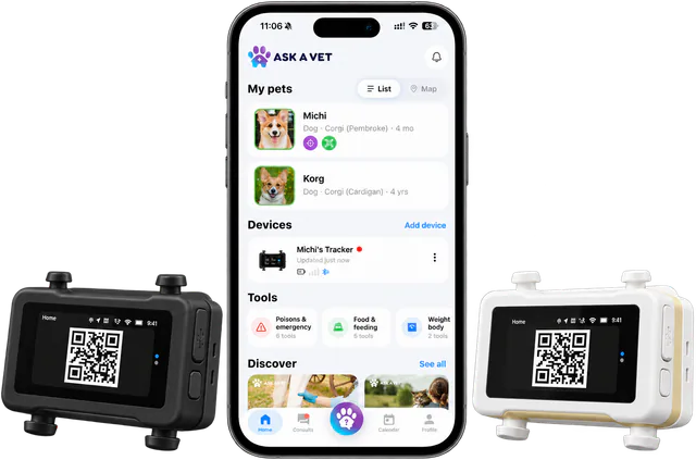 Illustrated Ask A Vet app home screen listing two dogs and a paired tracker, between a black and a white tracker showing their QR codes