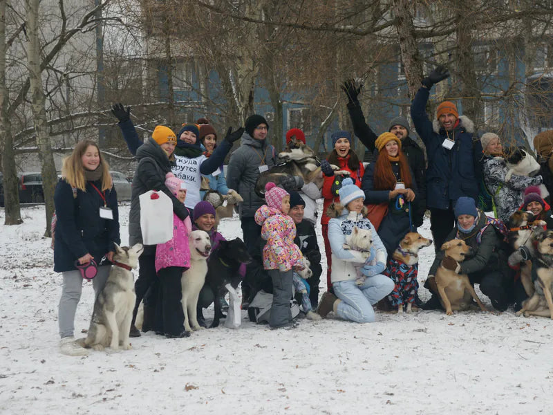 A rescue group and their dogs in a snowy park, waving at the camera
