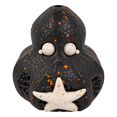 Black Chewster Octopus