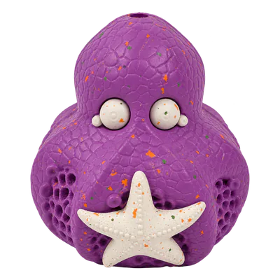 Purple Chewster Octopus