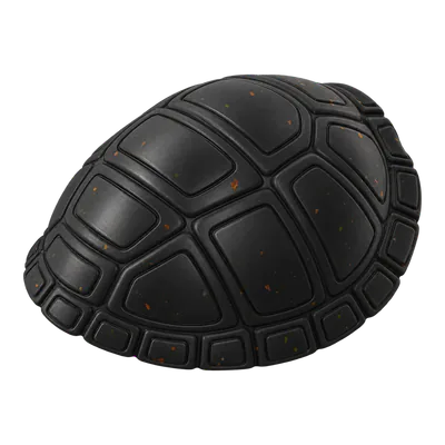 Black Chewster Turtleshell