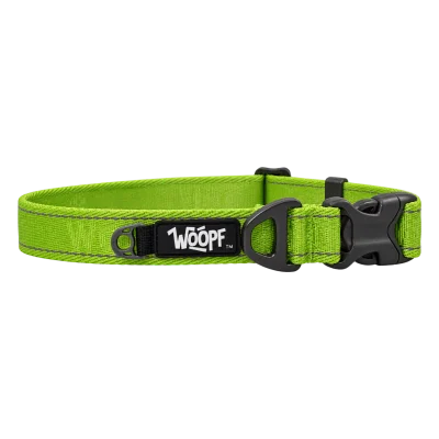 Green Explorer Collar