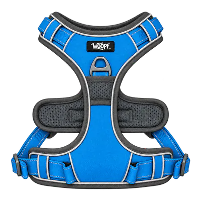 Blue Explorer Harness