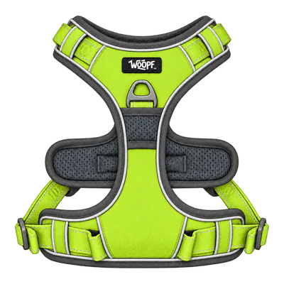 Green Explorer Harness