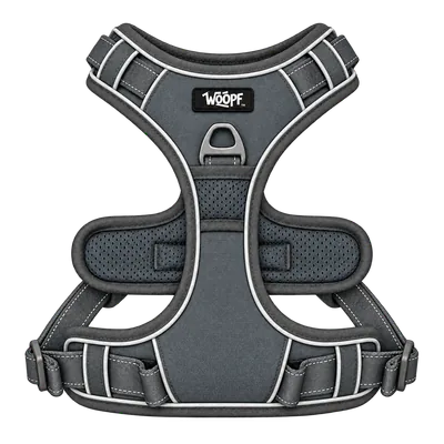 Grey Explorer Harness