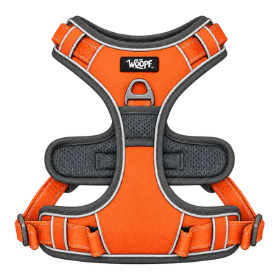 Orange Explorer Harness