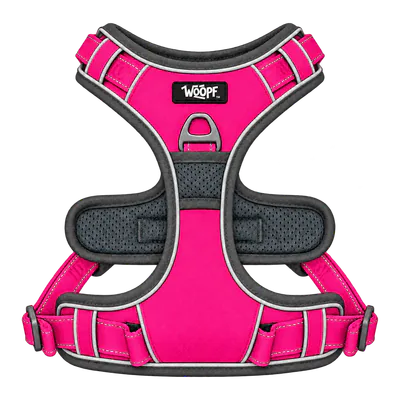 Pink Explorer Harness