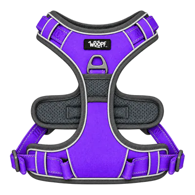 Purple Explorer Harness