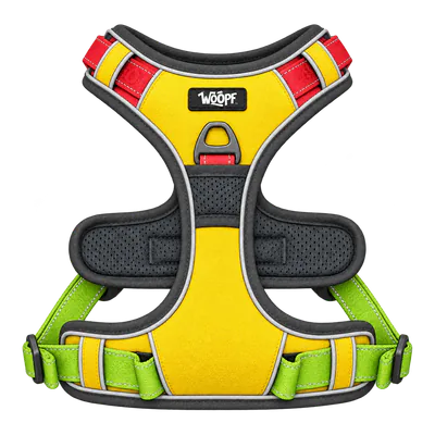 Rainbow Explorer Harness
