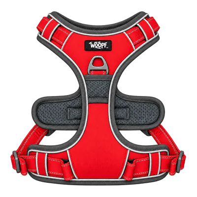 Red Explorer Harness