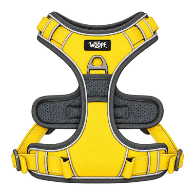 Yellow Explorer Harness