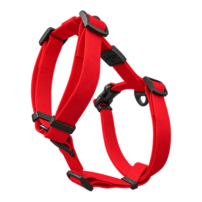 Red Sealskin Harness