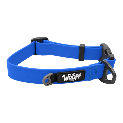 Blue Sealskin Collar